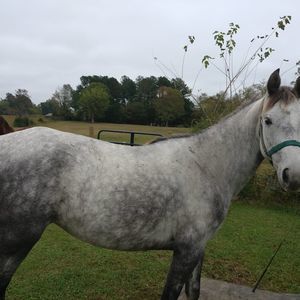 Meet your Posher, Charlene